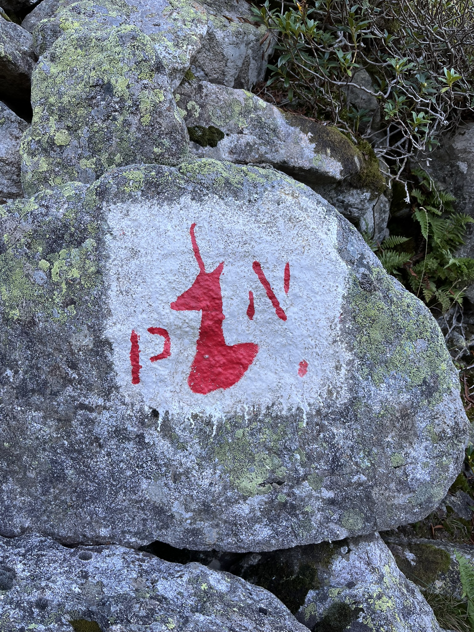 Col des Pyrénées, sommets enneigés